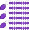 Mini UV Keychain Flashlight, Portable Black Light, 12 Lumen Ultra Bright Tiny Flashlight